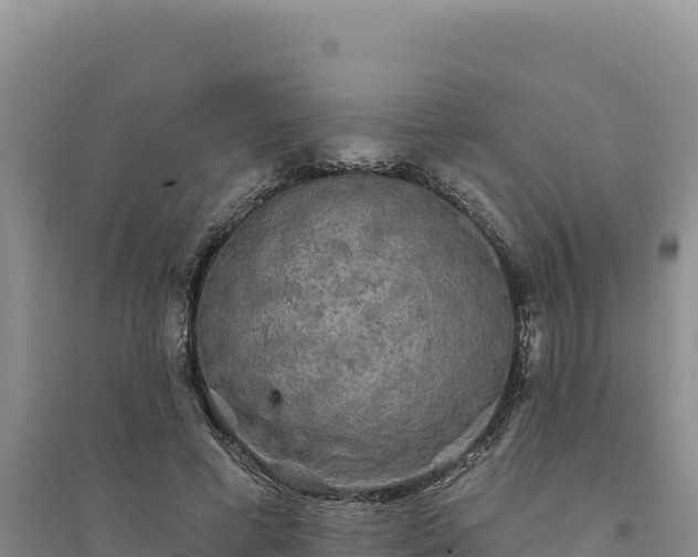 X0000094350593200711091454