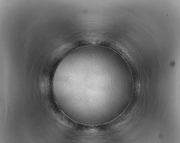 X0000094350594200711091454