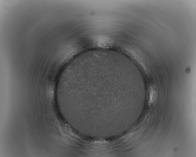 X0000094350595200711091454