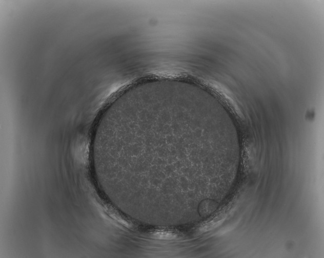 X0000094350596200711091454