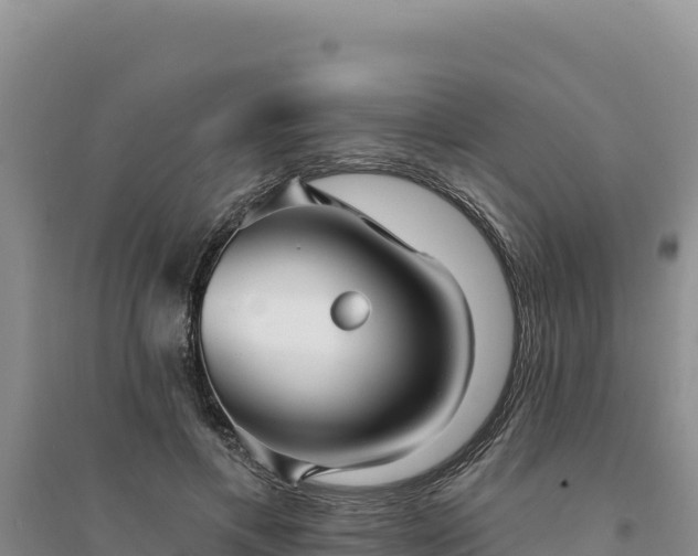 X0000094350597200711091454