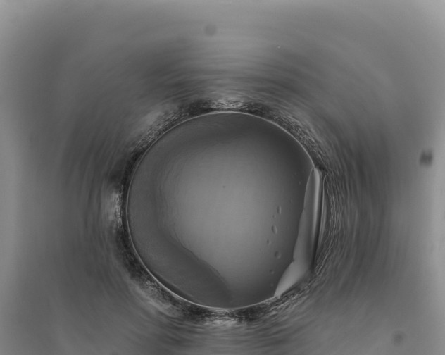 X0000094350598200711091454