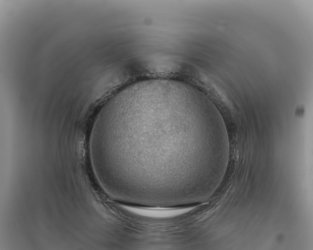 X0000094350599200711091454