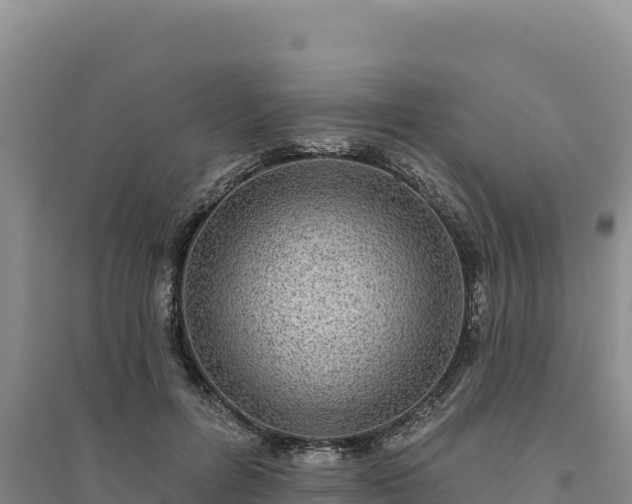 X0000094350600200711091454