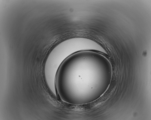 X0000094350601200711091454