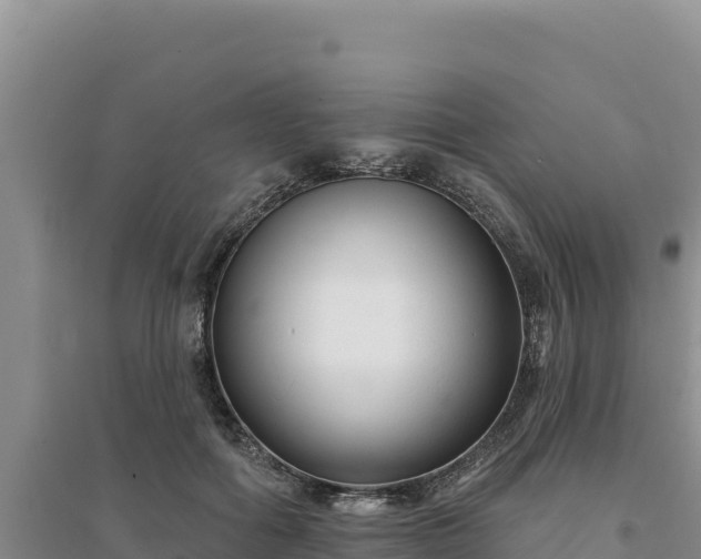 X0000094350602200711091454