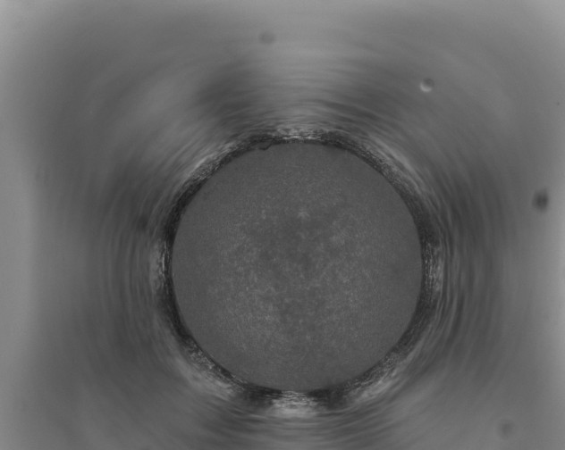 X0000094350603200711091454