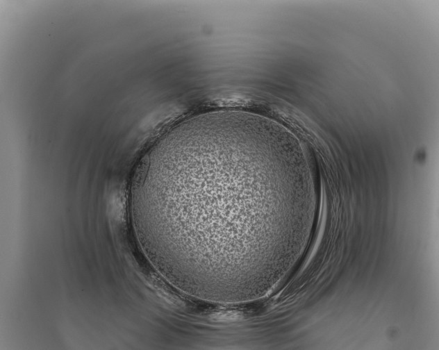 X0000094350604200711091454