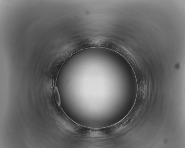 X0000094350605200711091454