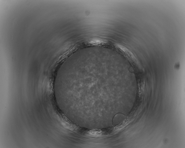 X0000094350606200711091454