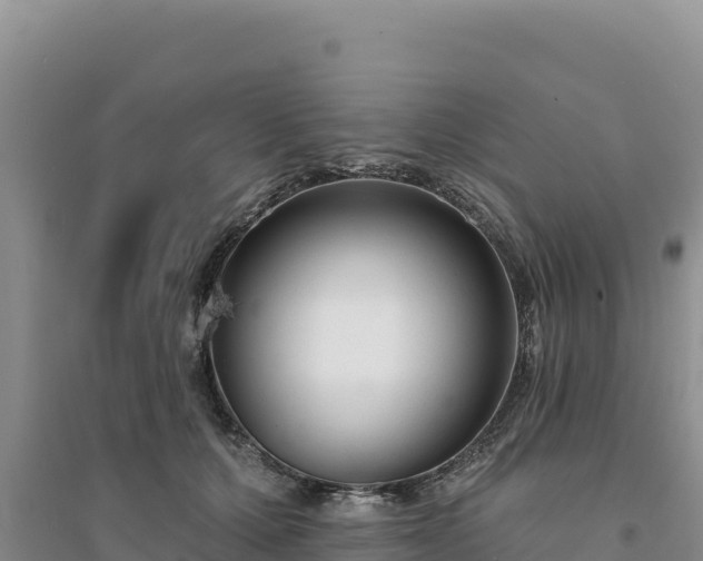 X0000094350607200711091454