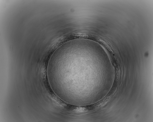 X0000094350609200711091454