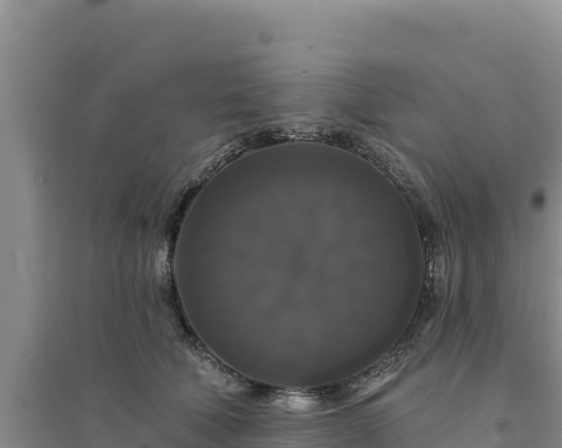 X0000094350610200711091454