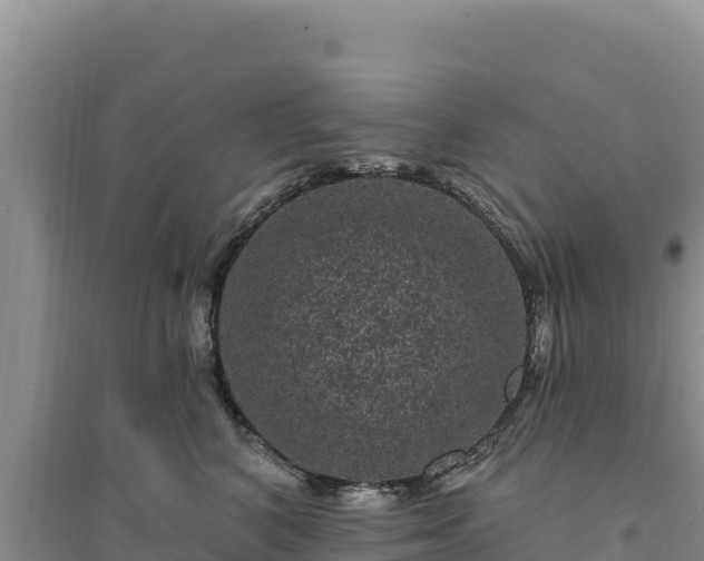 X0000094350616200711091453