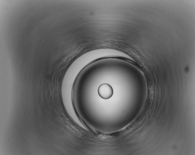 X0000094350617200711091453