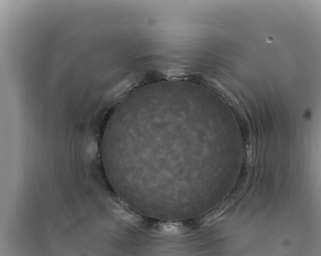 X0000094350618200711091453