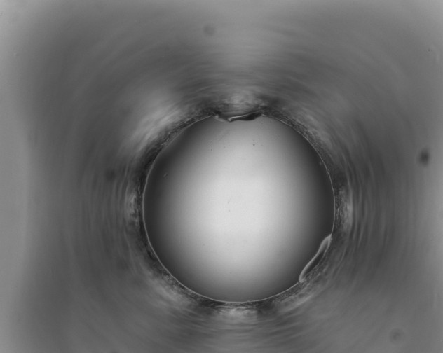 X0000094350619200711091453