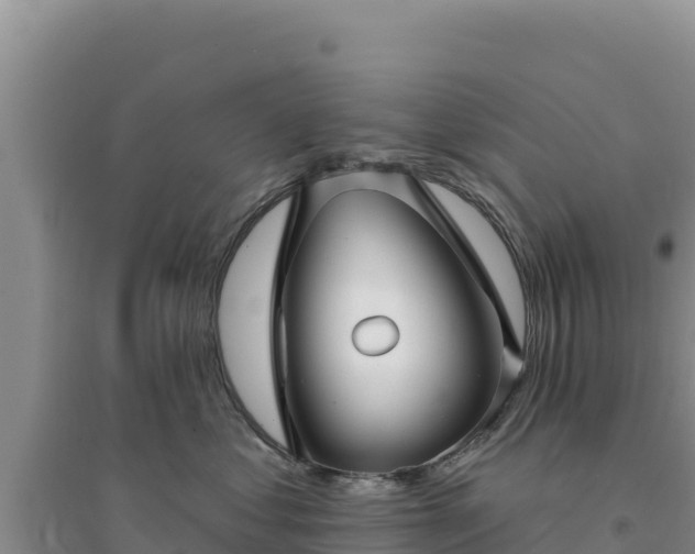 X0000094350621200711091453