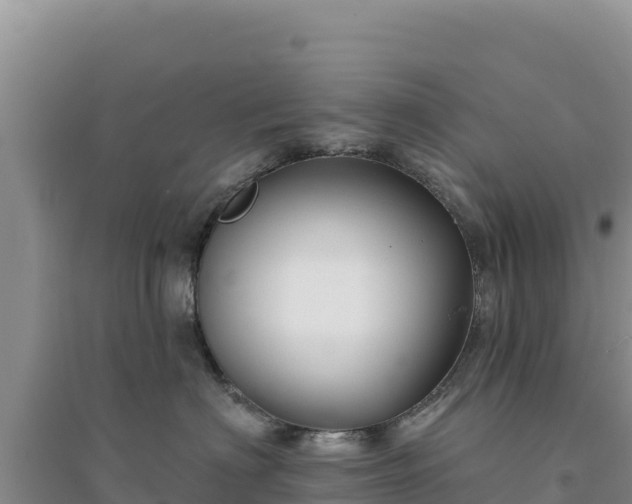 X0000094350622200711091453