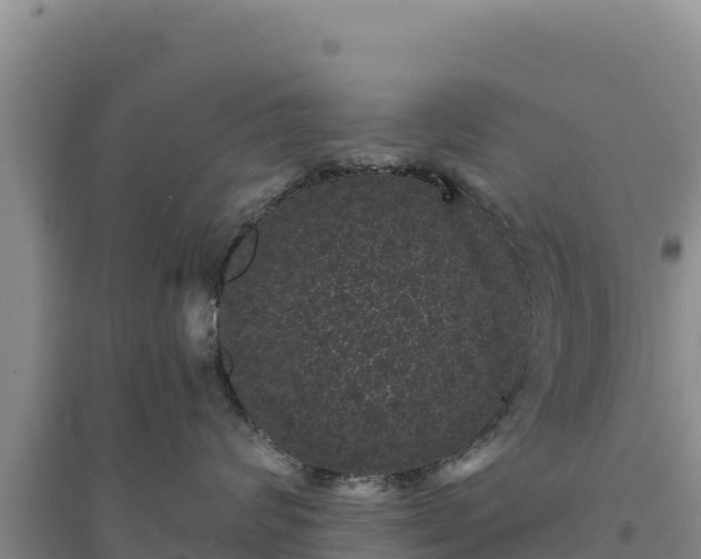 X0000094350624200711091453