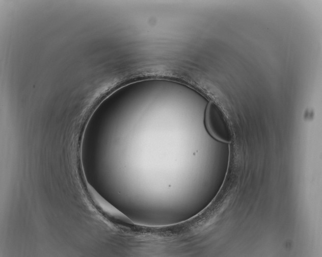 X0000094350625200711091453