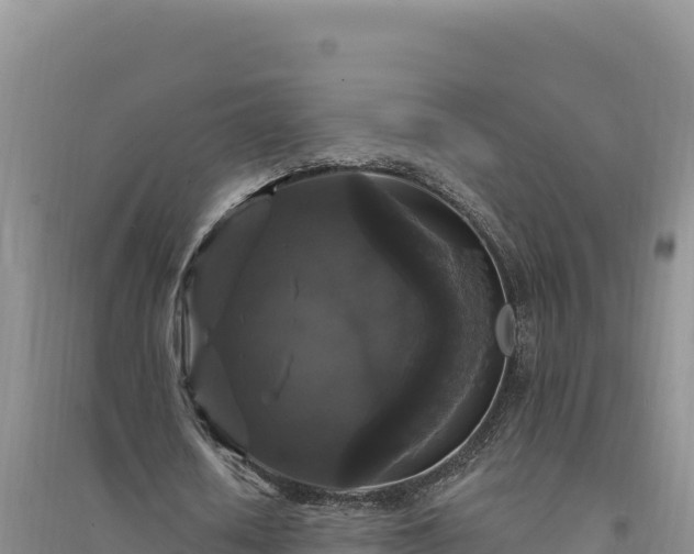 X0000094350626200711091453