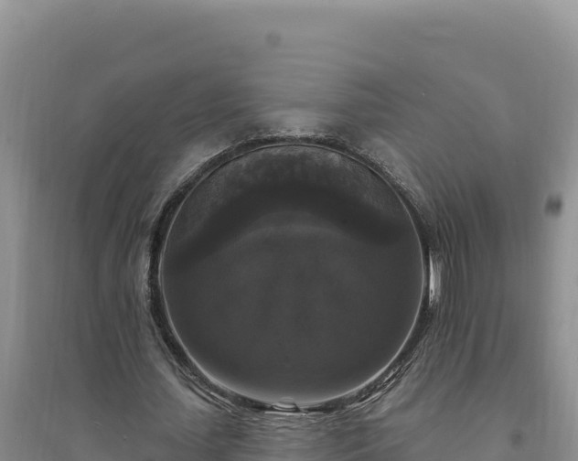 X0000094350627200711091453