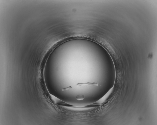 X0000094350628200711091453