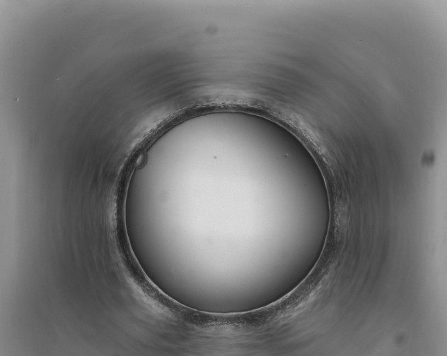 X0000094350629200711091453