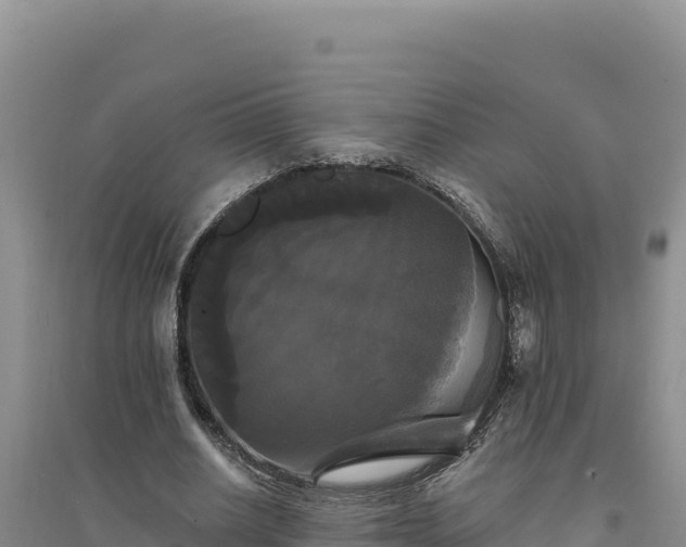 X0000094350630200711091453