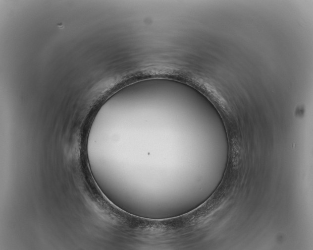 X0000094350631200711091453