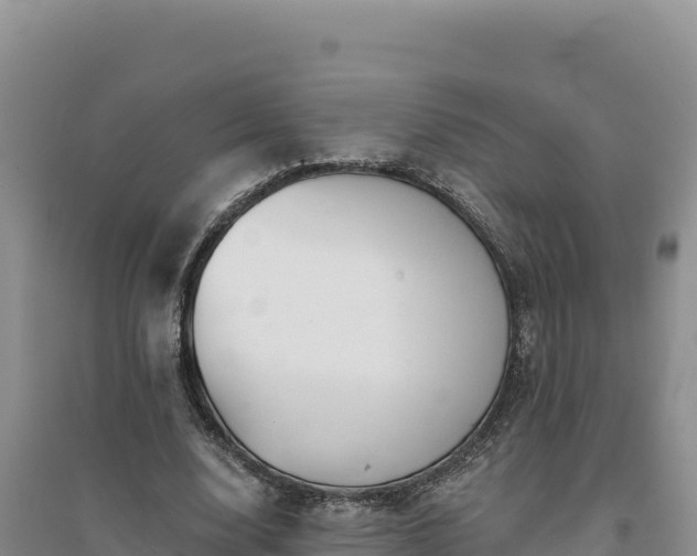 X0000094350632200711091453