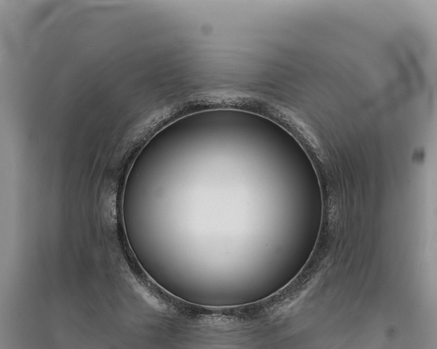 X0000094350633200711091453