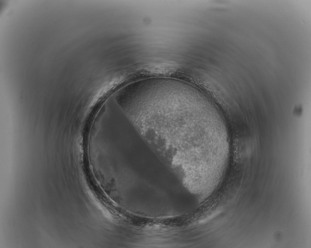 X0000094350634200711091453