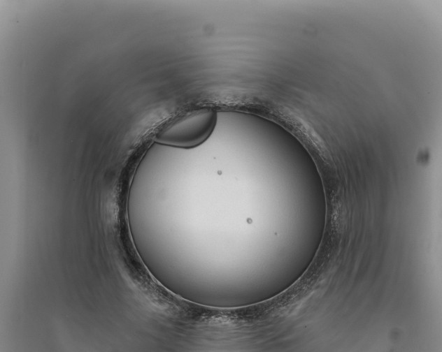 X0000094350635200711091453