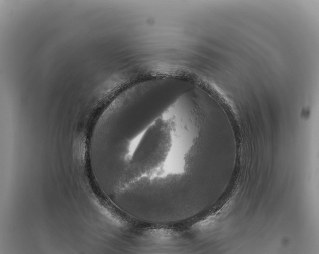 X0000094350637200711091453