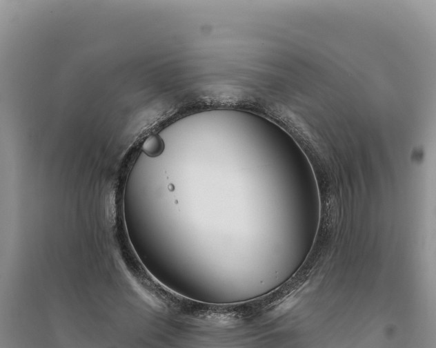 X0000094350638200711091453