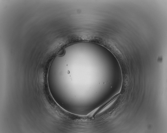 X0000094350639200711091453