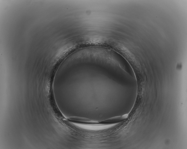 X0000094350640200711091453