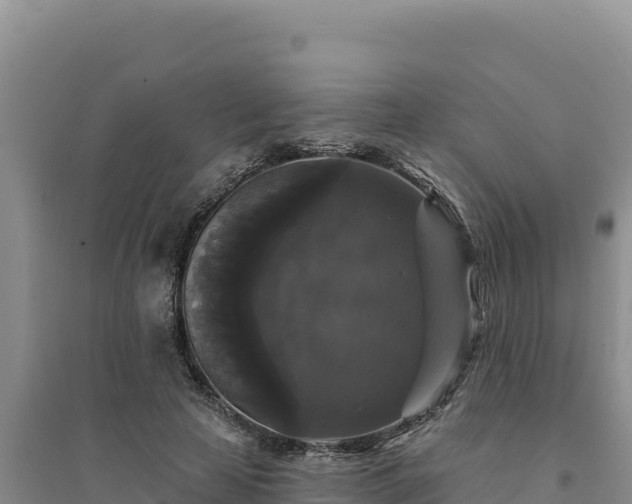 X0000094350641200711091453