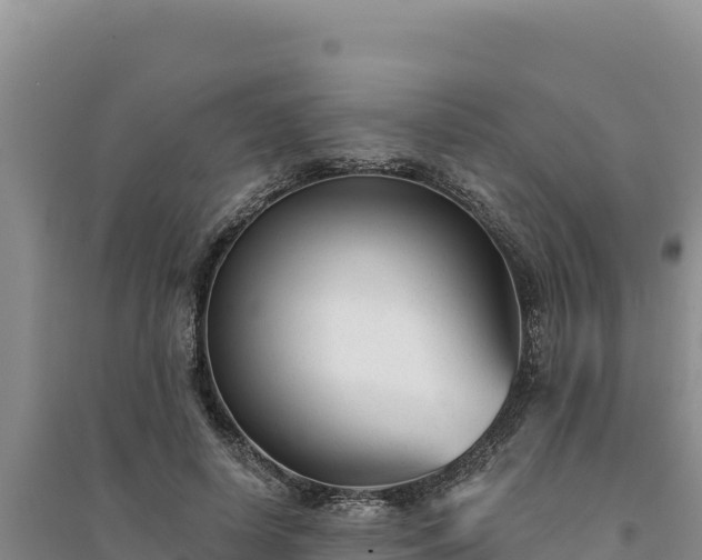 X0000094350642200711091453