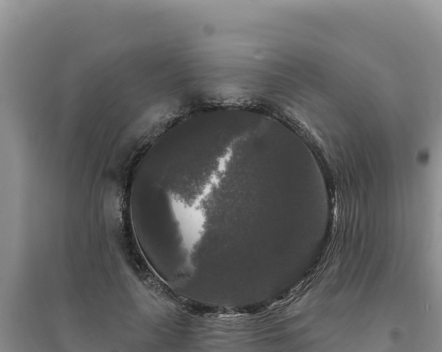 X0000094350643200711091453