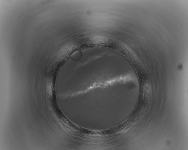 X0000094350644200711091453