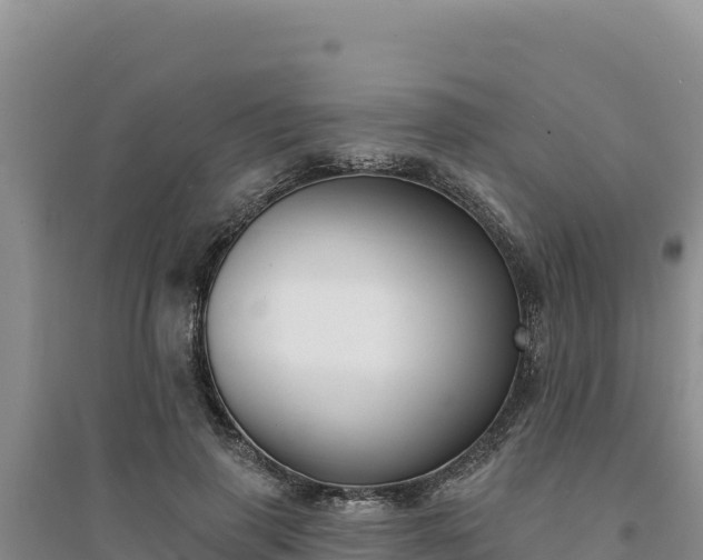 X0000094350645200711091453