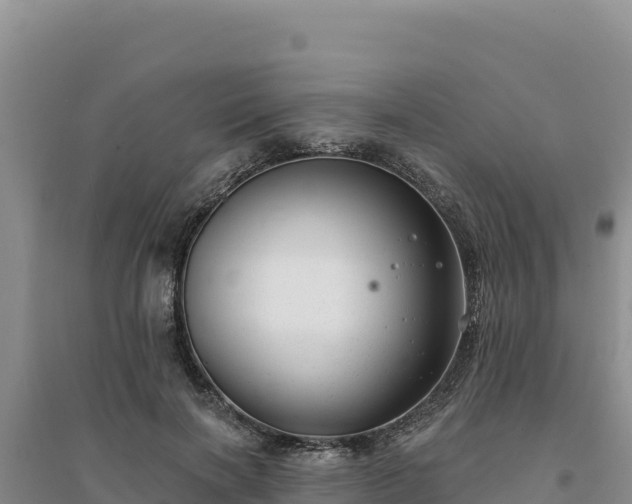 X0000094350646200711091453