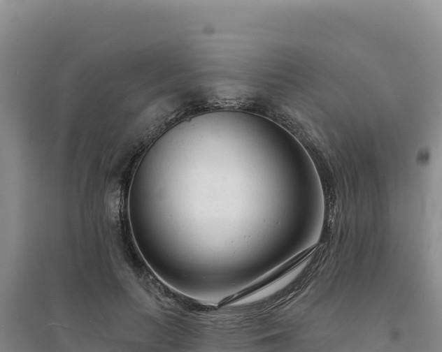 X0000094350647200711091453