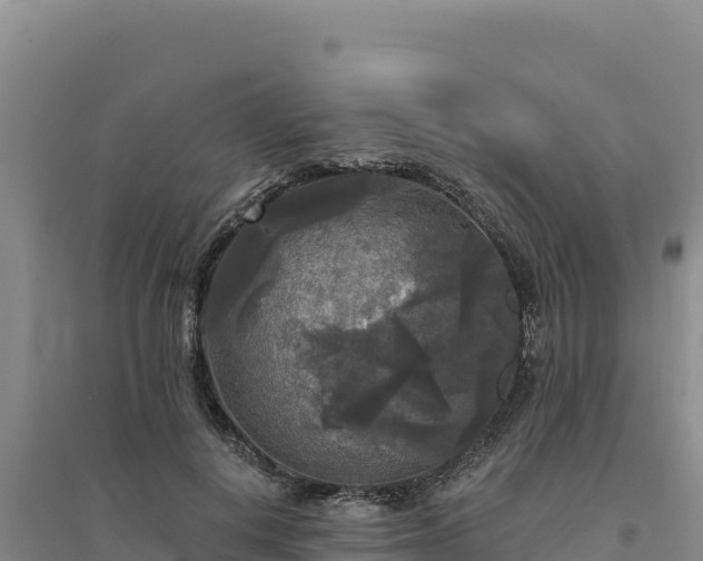 X0000094350648200711091453