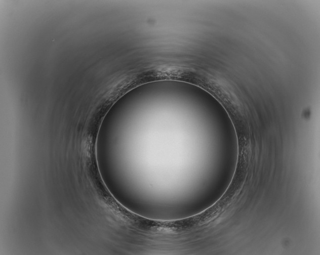 X0000094350649200711091453