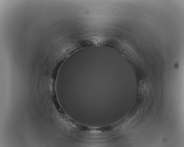 X0000094350650200711091453