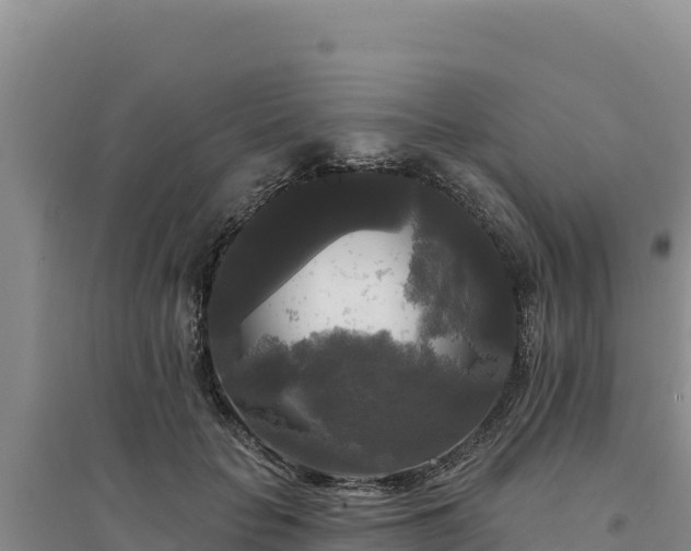 X0000094350653200711091453